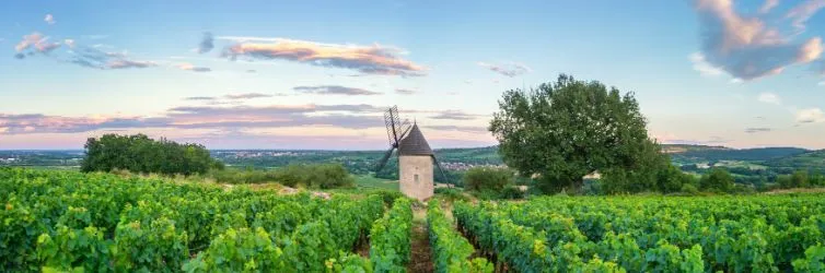 Visiter la Bourgogne : top 10 meilleurs plans
